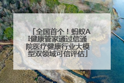 全国首个！蚂蚁AI健康管家通过信通院医疗健康行业大模型双领域可信评估