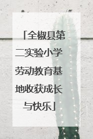 全椒县第二实验小学劳动教育基地收获成长与快乐
