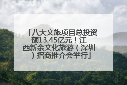 八大文旅项目总投资额13.45亿元！江西新余文化旅游（深圳）招商推介会举行