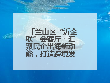兰山区“沂企联”会客厅：汇聚民企出海新动能，打造跨境发展“强磁场”