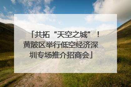 共拓“天空之城”！黄陂区举行低空经济深圳专场推介招商会