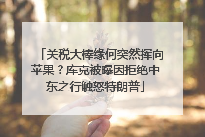 关税大棒缘何突然挥向苹果？库克被曝因拒绝中东之行触怒特朗普