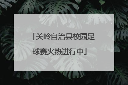 关岭自治县校园足球赛火热进行中