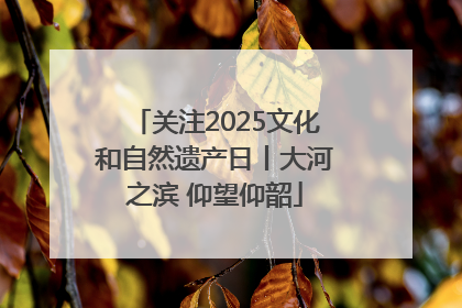 关注2025文化和自然遗产日丨大河之滨 仰望仰韶