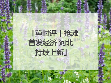 冀时评｜抢滩首发经济 河北持续上新