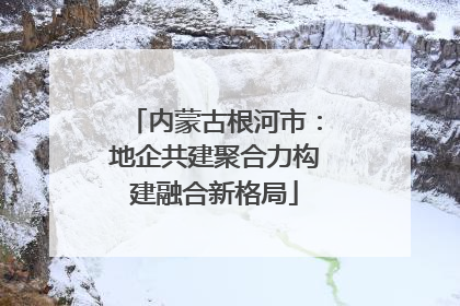 内蒙古根河市：地企共建聚合力构建融合新格局
