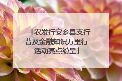 农发行安乡县支行普及金融知识万里行活动亮点纷呈