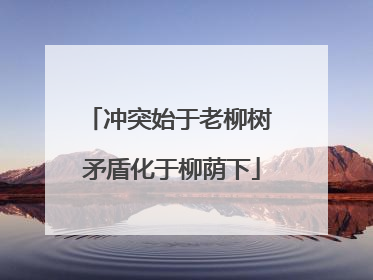 冲突始于老柳树 矛盾化于柳荫下