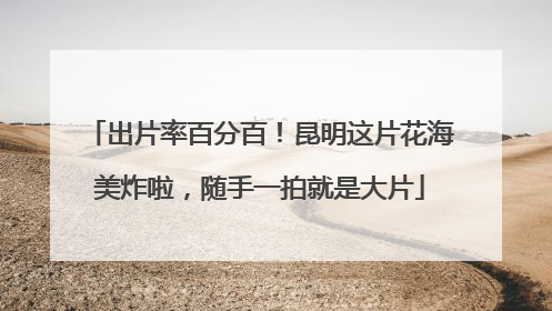 出片率百分百！昆明这片花海美炸啦，随手一拍就是大片