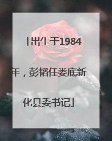 出生于1984年，彭韬任娄底新化县委书记