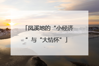 凤溪地的“小经济”与“大情怀”