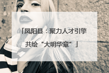 凤阳县：聚力人才引擎 共绘“大明华章”