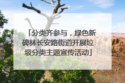 分类齐参与，绿色新碑林长安路街道开展垃圾分类主题宣传活动