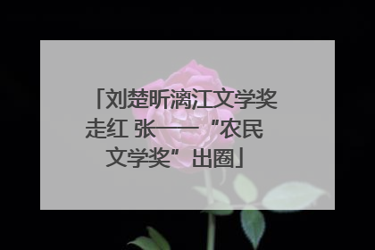 刘楚昕漓江文学奖走红 张一一“农民文学奖”出圈