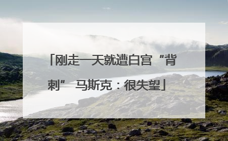 刚走一天就遭白宫“背刺” 马斯克：很失望