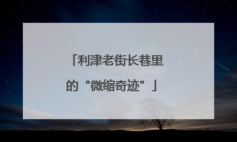 利津老街长巷里的“微缩奇迹”