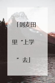 到麦田里“上学”去