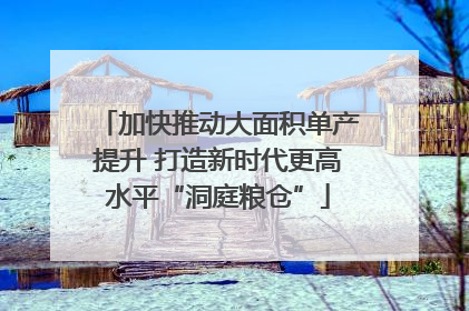 加快推动大面积单产提升 打造新时代更高水平“洞庭粮仓”