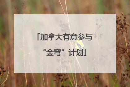 加拿大有意参与“金穹”计划