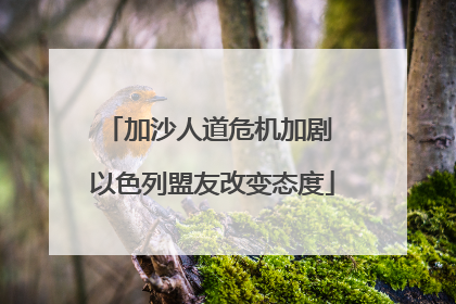 加沙人道危机加剧 以色列盟友改变态度