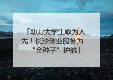 助力大学生敢为人先！长沙创业服务为“金种子”护航