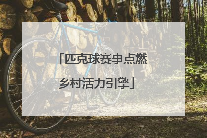 匹克球赛事点燃乡村活力引擎