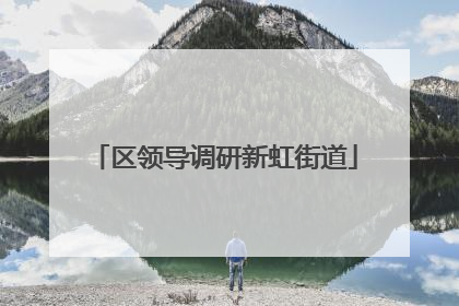 区领导调研新虹街道