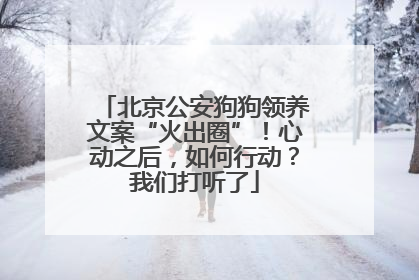 北京公安狗狗领养文案“火出圈”！心动之后，如何行动？我们打听了