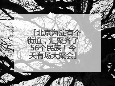 北京海淀有个街道，汇聚齐了56个民族！今天有场大聚会