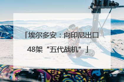 埃尔多安：向印尼出口48架“五代战机”