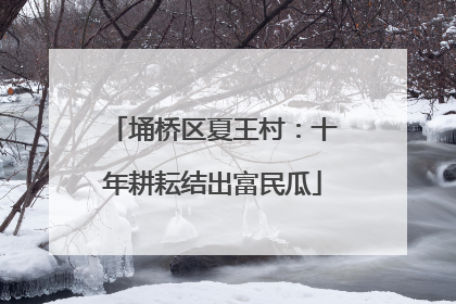 埇桥区夏王村：十年耕耘结出富民瓜