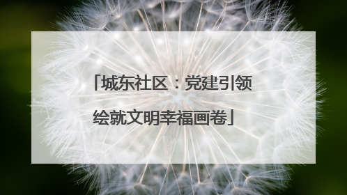 城东社区：党建引领绘就文明幸福画卷