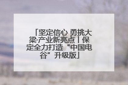 坚定信心 勇挑大梁·产业新亮点丨保定全力打造“中国电谷”升级版