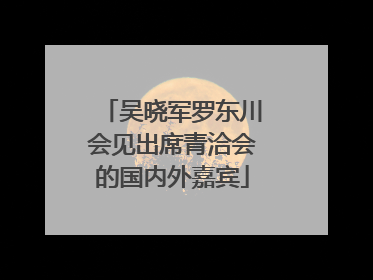 吴晓军罗东川会见出席青洽会的国内外嘉宾