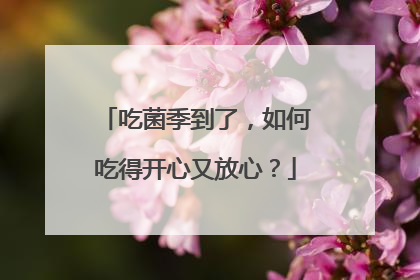 吃菌季到了，如何吃得开心又放心？