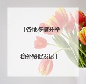 各地多措并举稳外贸促发展