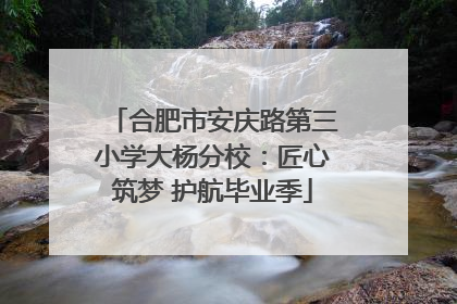 合肥市安庆路第三小学大杨分校：匠心筑梦 护航毕业季