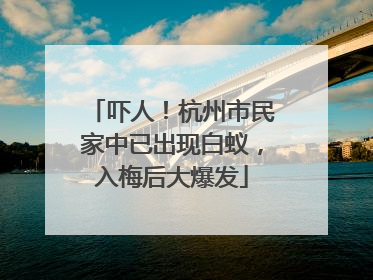 吓人！杭州市民家中已出现白蚁，入梅后大爆发