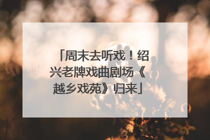 周末去听戏！绍兴老牌戏曲剧场《越乡戏苑》归来