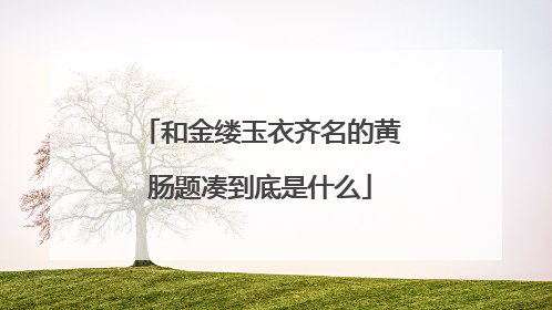 和金缕玉衣齐名的黄肠题凑到底是什么