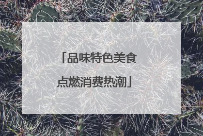 品味特色美食 点燃消费热潮