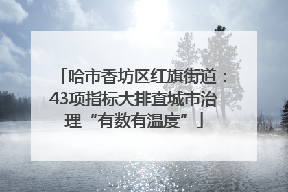 哈市香坊区红旗街道：43项指标大排查城市治理“有数有温度”