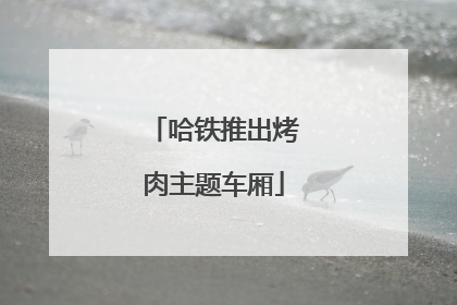 哈铁推出烤肉主题车厢