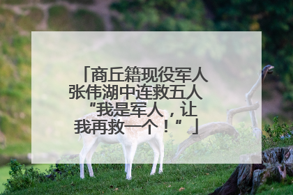 商丘籍现役军人张伟湖中连救五人 “我是军人，让我再救一个！”