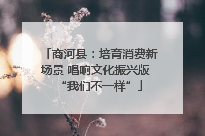 商河县：培育消费新场景 唱响文化振兴版“我们不一样”