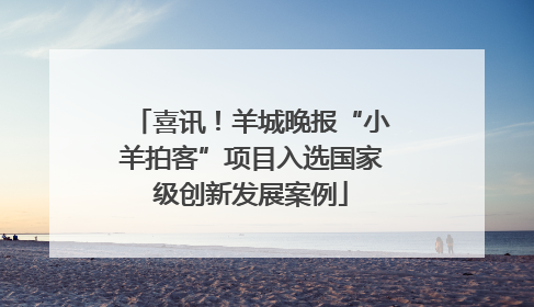 喜讯！羊城晚报“小羊拍客”项目入选国家级创新发展案例