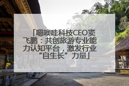 嗯噢哇科技CEO窦飞鹏：共创旅游专业能力认知平台，激发行业“自生长”力量