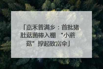 嘉禾普满乡：首批猪肚菇菌棒入棚 “小蘑菇”撑起致富伞