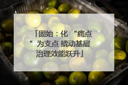固始：化 “痛点”为支点 撬动基层治理效能跃升