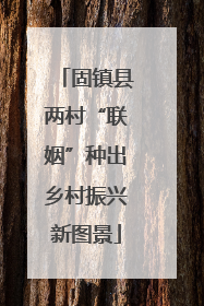 固镇县两村“联姻”种出乡村振兴新图景